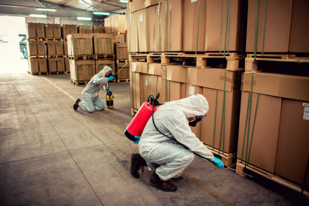 Best Emergency Pest Control  in Victoria, MS