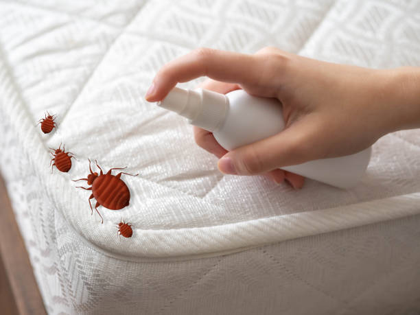 Best Mosquito Control Services  in Victoria, MS