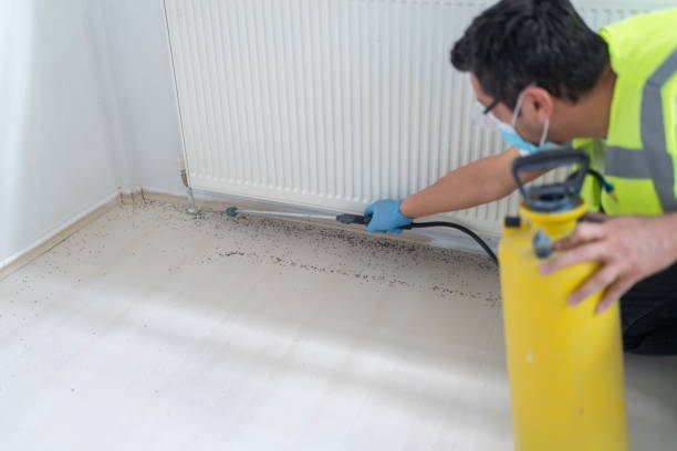 Best Mosquito Control Services  in Victoria, MS